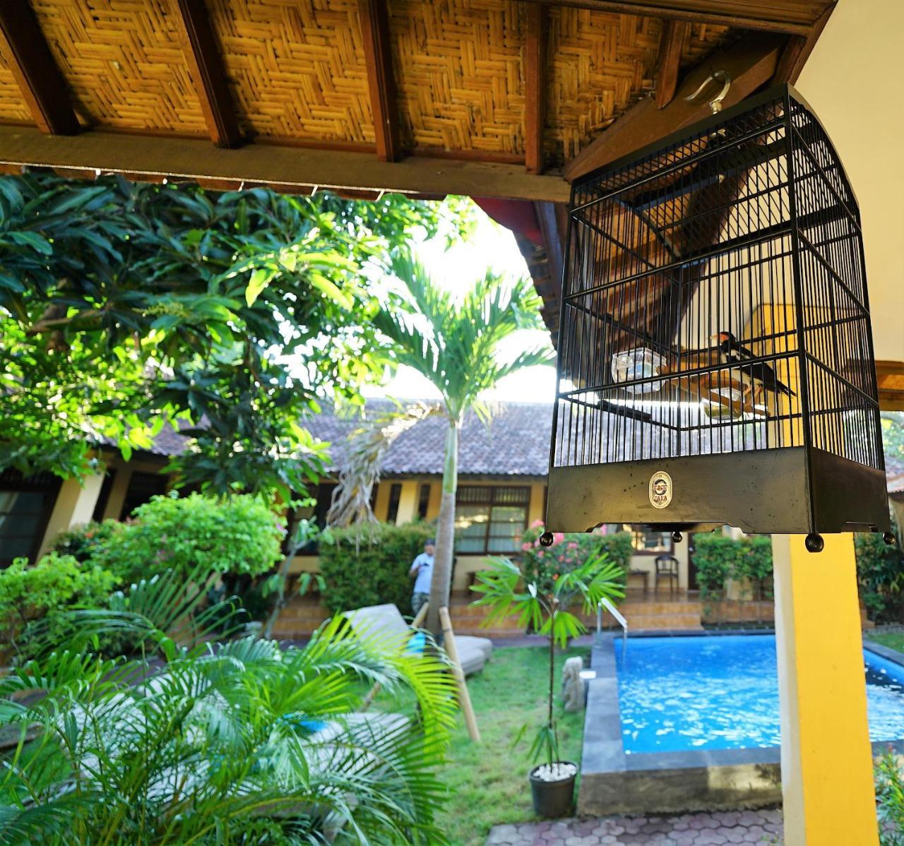 Wisma tamu Mangga 3*